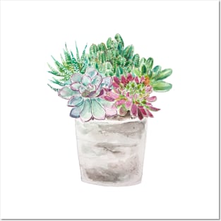 succulents and cactus in pot watercolor 2020 Posters and Art